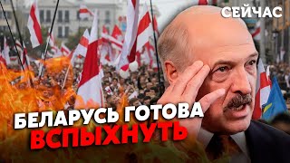 🔥СТРАТИ ЧИНОВНИКІВ СТАЛИ МЕЖЕЮ! Санніков: У Білорусі готують ПЕРЕВОРОТ, Лукашенко НЕ ВРЯТУЮТЬ