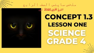 Concept 1.3 light and sight ملخص الصف الرابع الابتدائي🤓 الترم الاول