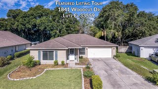 1841 Woodcut Dr, Lutz, FL 33559