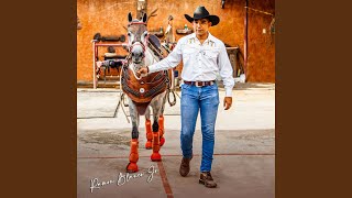 Hoy Hay Toros en Mi Pueblo