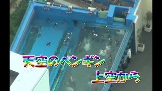 サンシャイン60展望台から見えたサンシャイン水族館