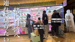 【494人目】クレーンゲームでマイメロディが大好きな妹の為に挑む男の子...果たして無事にゲットし連れて帰れるのか！？