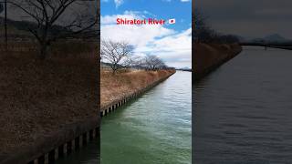 Shiratori River🇯🇵 #shorts #short #shortsvideo #shortvideo #shortsfeed #shortsviral #biwako #japan