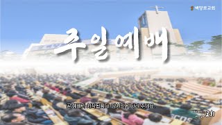 24.10.06(주일) 신동작 목사 - 계수하시는 하나님  (마 18:12-14)