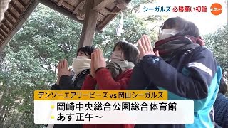 ２３年のウンは…　岡山シーガルズ　必勝願いチームで初詣　バレーボールＶ１女子【岡山】 (23/01/06 18:00)