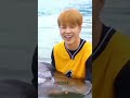 Even the fish loves jin.....but jin🤣🤣🤣