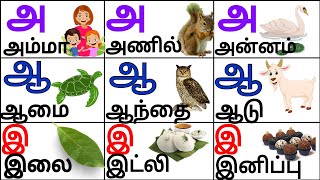 அ அம்மா|அஆஇஈ|Uyir Eluthukkal|Tamil Alphabet Learning|Pre School Education|Tamil letters Learning