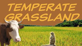 Explore the TEMPERATE GRASSLAND Biome 🌽 Nature Ecology & Environment