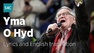 Yma o Hyd - Dafydd Iwan | Dafydd Iwan sings Yma o Hyd with lyrics and English translation | S4C