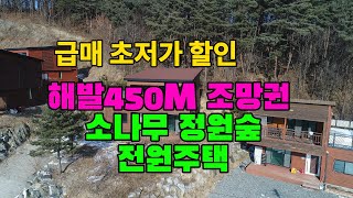 급매 초저가 할인 해발450고지 소나무정원숲 횡성전원주택[매물번호15-1617]#횡성전원주택#전원주택급매#초저가할인