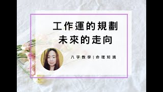 八字教學 | 工作運的規劃，未來的走向 | 林子玄