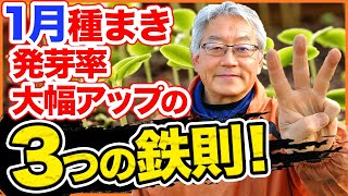 【家庭菜園】1月種まきで８割発芽させる！？初心者必見！誰にでもできる3つのコツを大公開！！【ほうれん草】【小松菜】【ニンジン】【チンゲンサイ】【冬野菜】