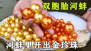 Golden pearls unexpectedly found in river clams