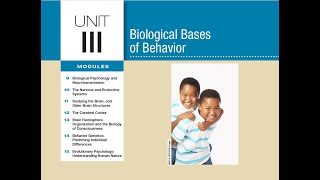 #APPsychology #APPsych Module 9: Biological Psychology and Neurotransmission