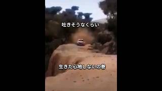 （ACCIDENT）もし、あなたが、このラリーカーのドライバーだったら、どんな気分？　#shorts #rally #driving #race