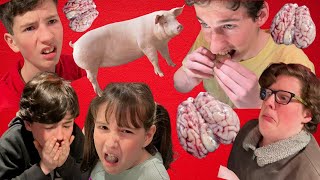 SOOO DISGUSTING - WE ATE PIGS BRAINS