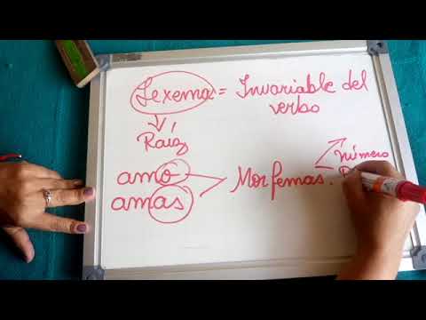 5. ¿Qué Es Un Morfema Verbal? - YouTube