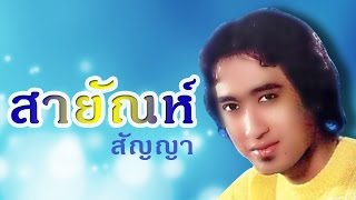 ติ๋ม -  สายัณห์ สัญญา