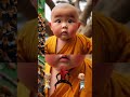 little monk so cute 🫰🍎🐸🚘 biksu kecil lucu imut images viral trending fyp