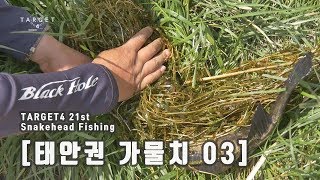 수면위에 지느러미는 가물치 상견례 [TARGET4_21st 태안권 가물치 03]