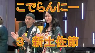 新土佐節　2024年新宿カブキHall　民謡ユニットこでらんにー３　東急歌舞伎町タワー　盆踊り