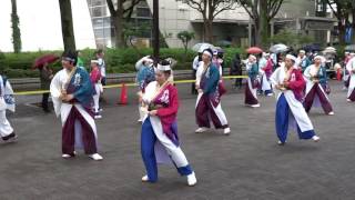 妃龍／NHK前ストリート／原宿表参道元氣祭スーパーよさこい2016