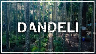 DANDELI - Heaven in Forest // KARNATAKA // CINEMATIC // 4K