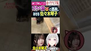 【Hasu no sora】 cat attacks into the skirt of Kotoko Sasaki【Nogizaka46】【Link! Like! LoveLive!】