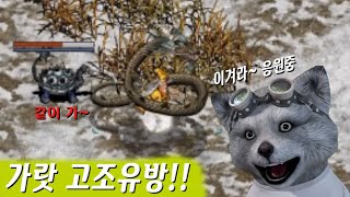 [거상] 본주님 제 응원 덕분에 성공하신거 맞죠?