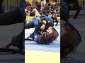 amazing collar choke by lillian marchand at the 2024 ibjjf worlds shorts jiujitsu bjj