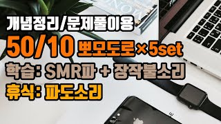 (개념정리/문제풀이) 🕑50/10뽀모도로: 50분 공부/10분 휴식 + ⚡학습기억력향상 15Hz SMR파 + 장작불소리🔥 | 5세트 | Pomodoro:15Hz SMR