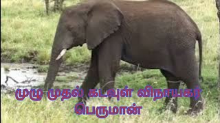 முழு முதல் கடவுள் விநாயகர் பெருமாள்/gayathri/stotram