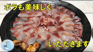 ぎりぎり寒ボラ？3月のボラは美味しかった【魚捌き・魚料理】