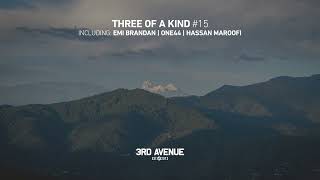 Emi Brandan - Enlightenment Pulses [3rd Avenue]