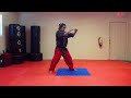 jumping roundhouse kick tutorial