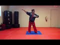 jumping roundhouse kick tutorial