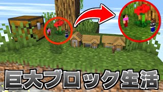 巨大ブロックでサバイバルしないといけないマインクラフト＃１【マイクラ】【ありくまかのあ】