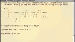 Python ttyUSB Starter Script for BeagleBone(GNU screen)