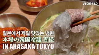 赤坂で本場の韓国冷麺 / 아카사카에서 먹는 맛있는 냉면 /韓国料理 チョンソル / 아카사카 청솔 / TOKYO VLOG / HD 1080p