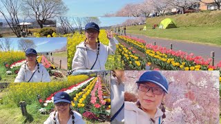 CHERRY BLOSSOM🌸桜4/7/2024(PART2)@angiectlifevlogs #lifehacks #happylife #satisfying