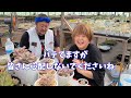 【多肉植物】多肉の顔違い‼️フリフリマディバ