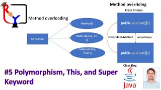 Java Series | Part 5 |Polymorphism, This and Super Keyword #java #javaprogramming #oops