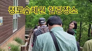 국립 청도숲체원 탐방로