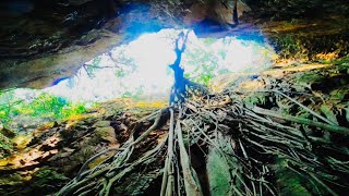 Kayaking Sea Arch Tour @ShelterIsland 獨木舟中級 海蝕洞旅程 @牛頭排 ~走塑之路@幽廊樹洞@牛尾洲 FHD1080 p3