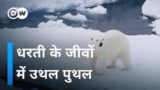 जीव जंतुओं पर जलवायु परिवर्तन का असर [How does climate change affect animals]