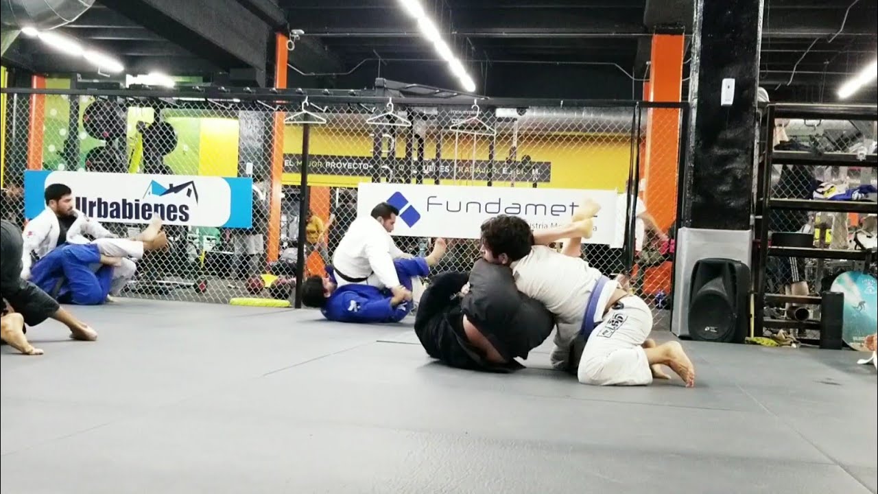 Un Consejo Para Cinta Azul De Jiu Jitsu Brasileño | Bjj Vlog S9 - YouTube