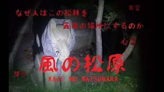 043【心霊スポット凸】夜の風の松原【秋田県能代市】