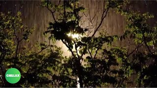 Sleep Immediately With Heavy Rain And Slight Thunder Under The Tree At Night: Rain Sounds, Chillax