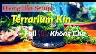 Cách Làm Terrarium (Tiểu Cảnh Trong Bình)  - Hướng Dẫn Setup Chi Tiết 5 Bước | PAT TAN YOUTUBE