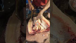 Incredible Big Rohu Fish Cutting By Expert Fish Cutter || #shorts #fishcutting #fish